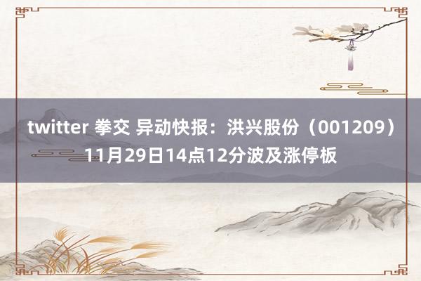 twitter 拳交 异动快报：洪兴股份（001209）11月29日14点12分波及涨停板